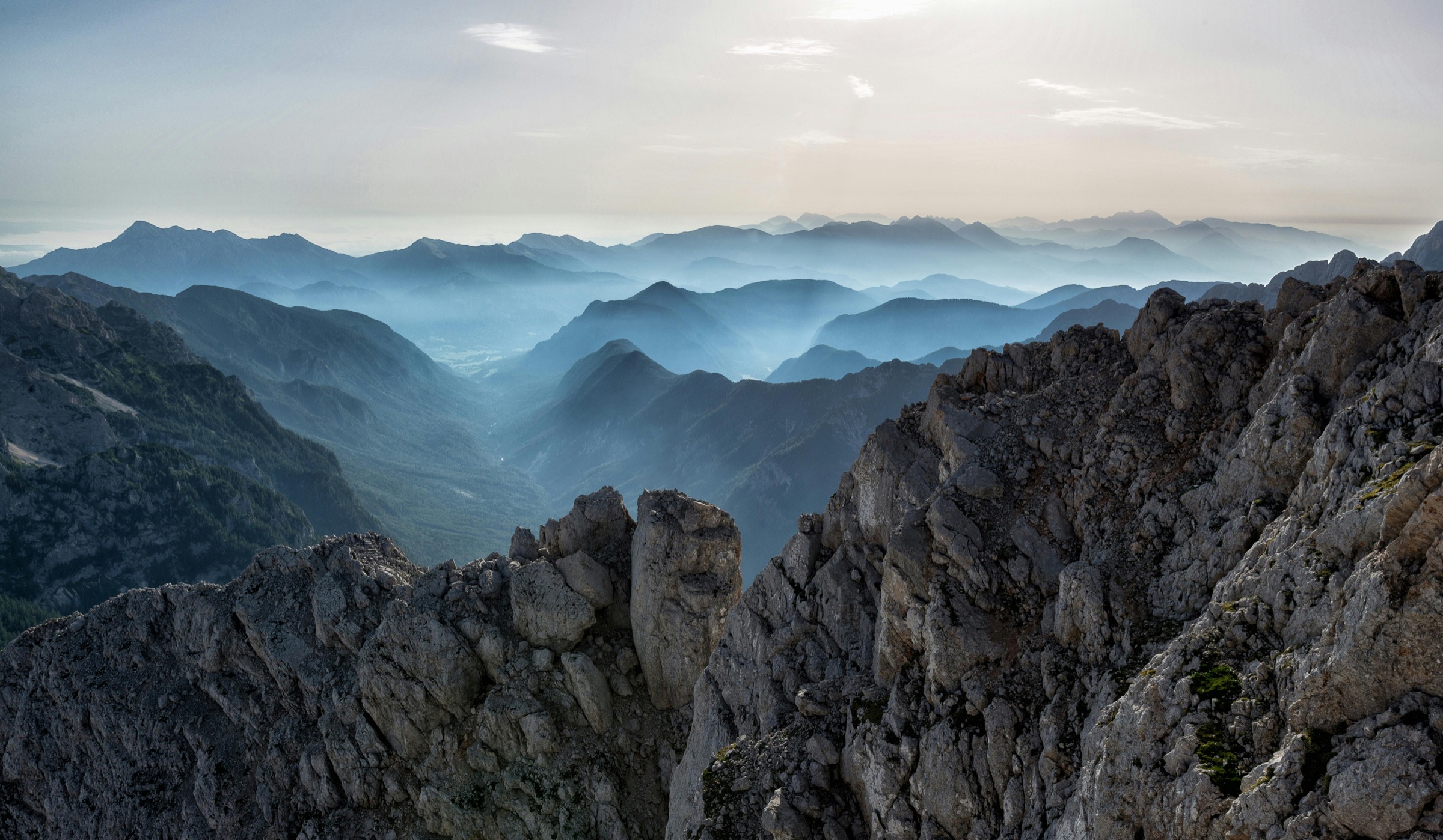A forest landscape opening toward distant mountains