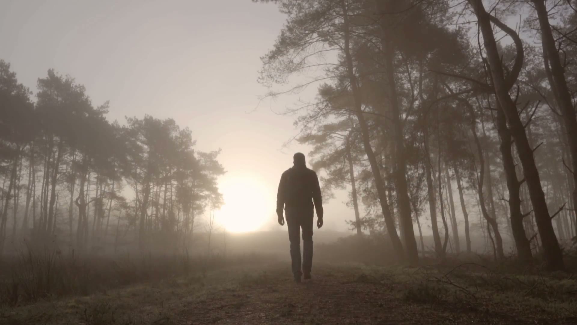 A man walking through a misty forest at first light