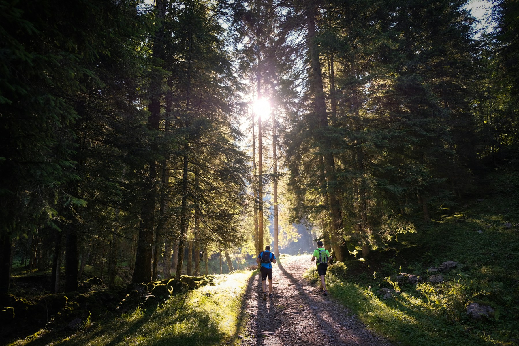 Two men walking together through a forest