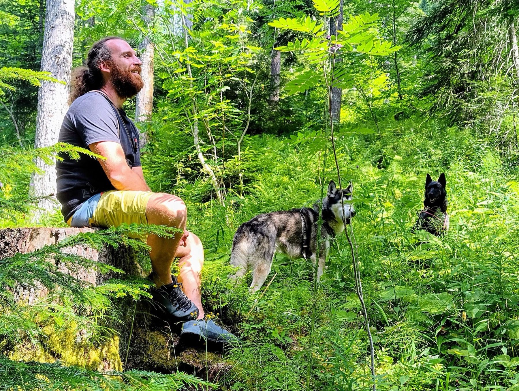 Ruben seated in a forest with two dogs