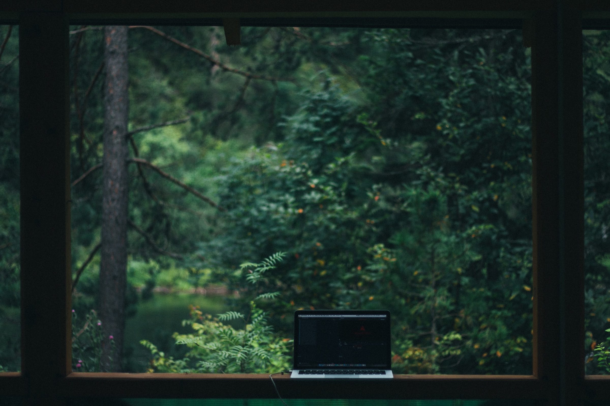 A laptop beside a window looking into a forest