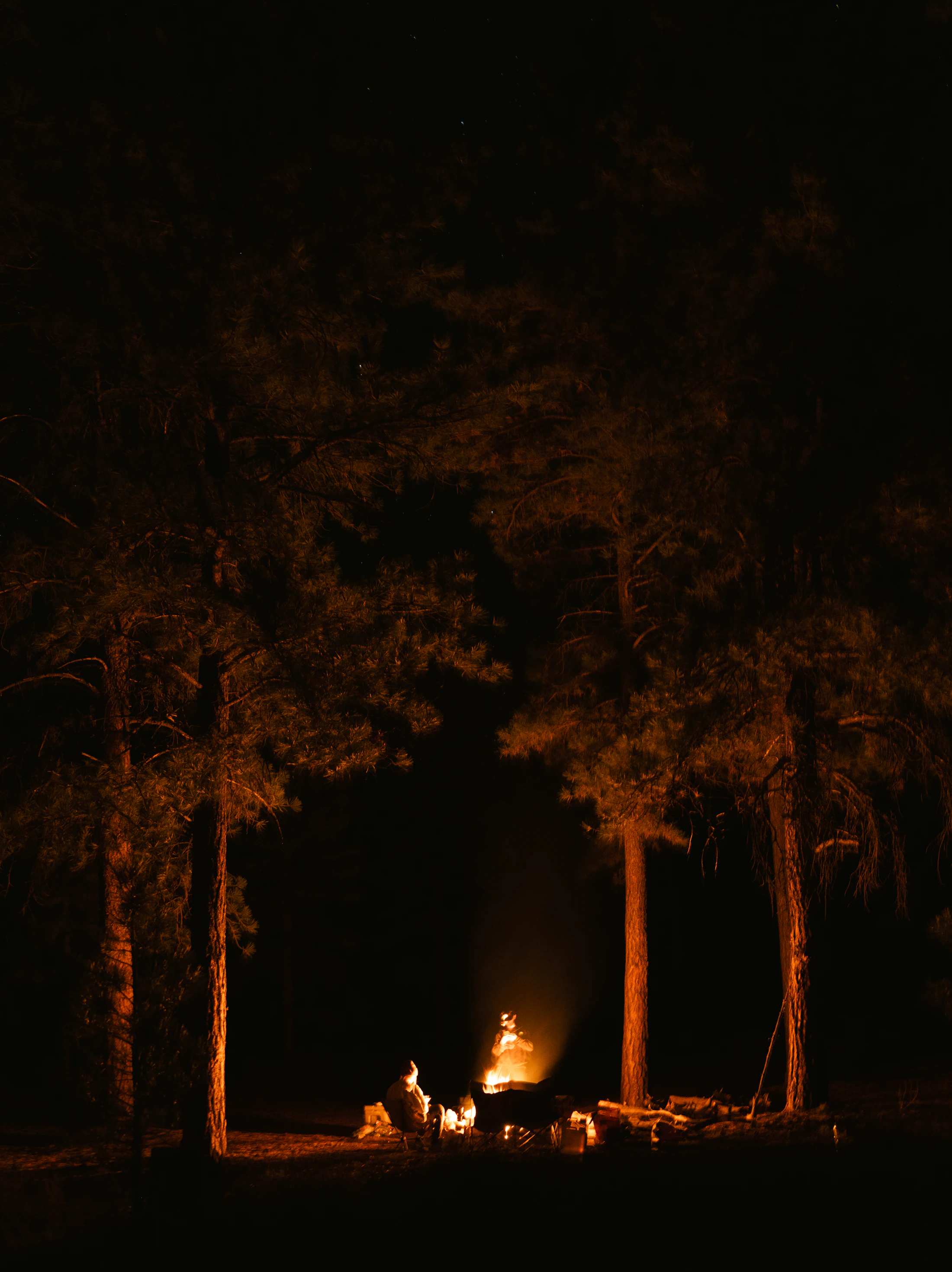 People gathered in a circle around a fire in the forest