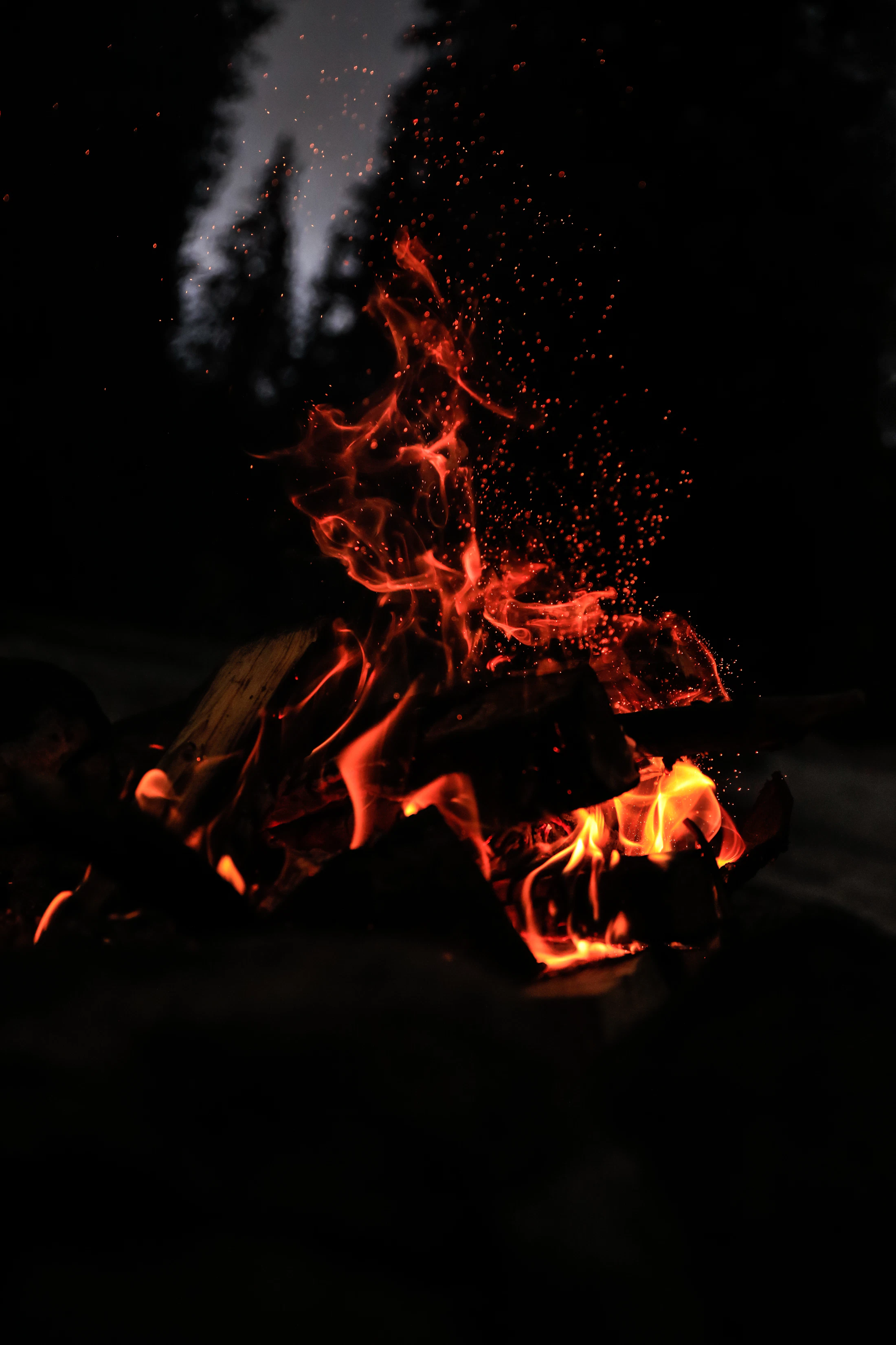 Embers rising from a fire in a dark forest