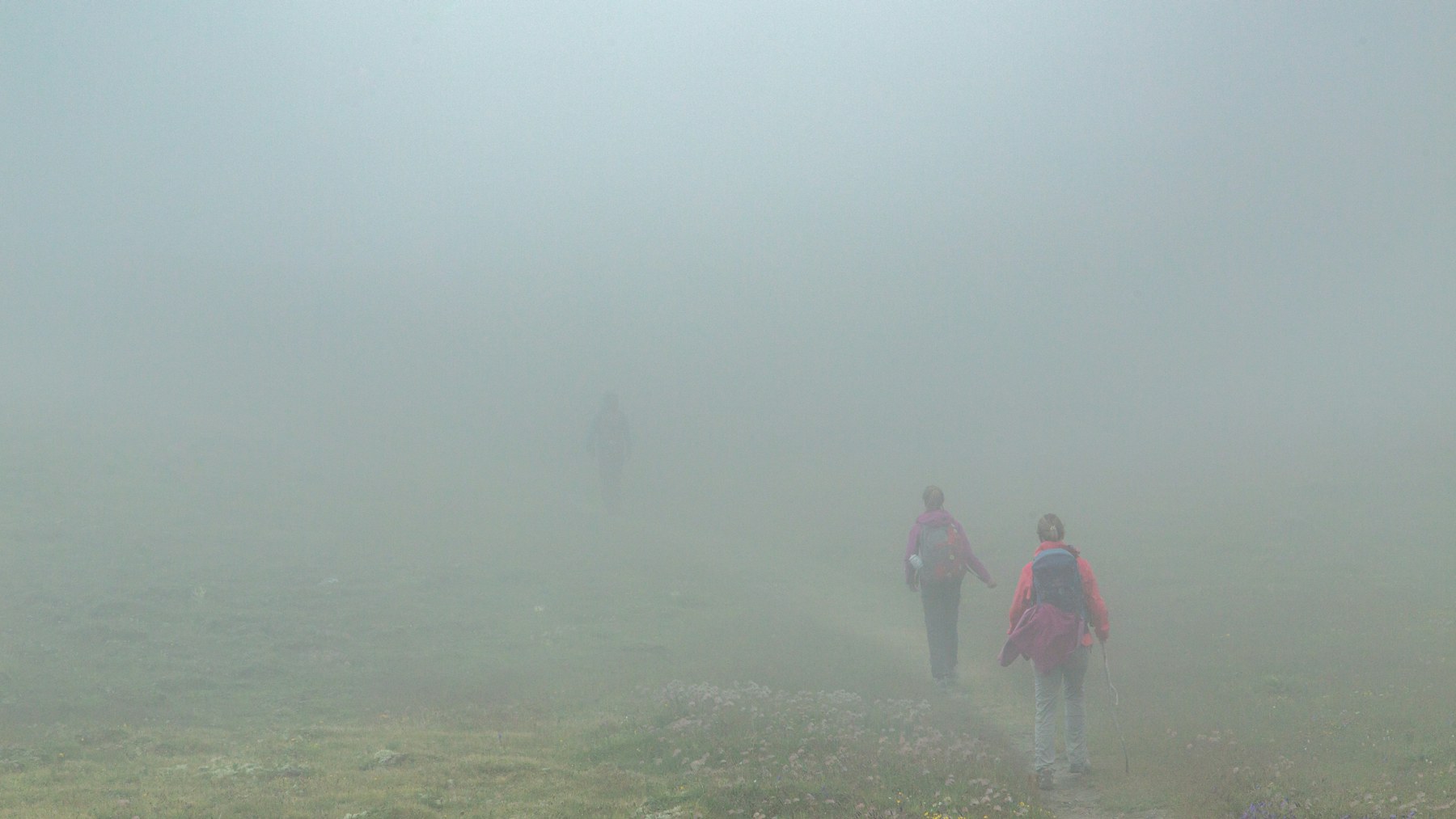 Two people walking quietly through soft Alpine fog